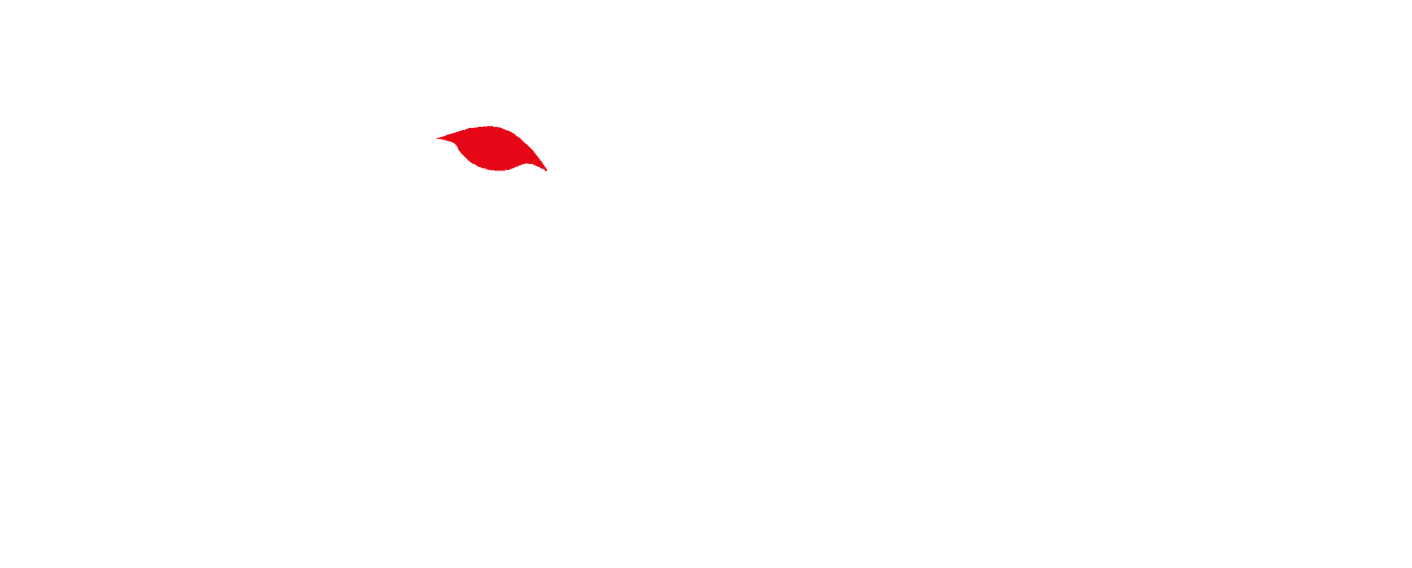 Gepard Medical Services
